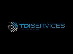 TDI SERVICES