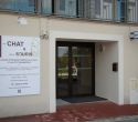 clinique veterinaire chat et la souris foto